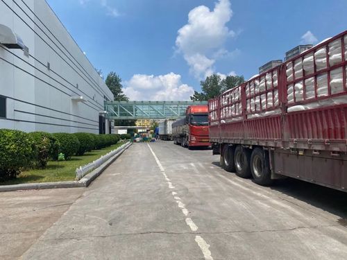 两大食品巨头恢复生产 厂门口排满运输车辆